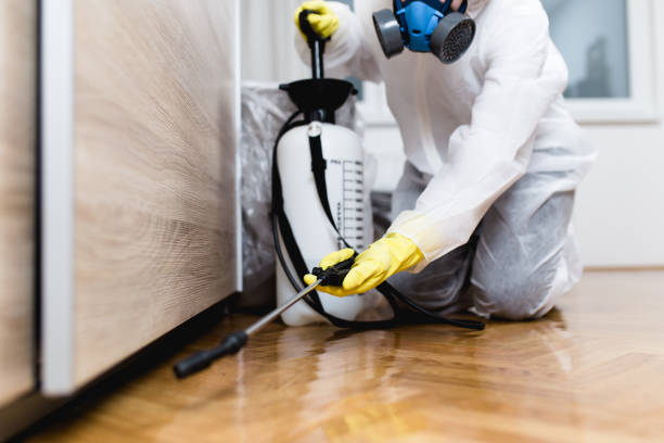 Best Pest Control for Businesses  in Pinetops, NC