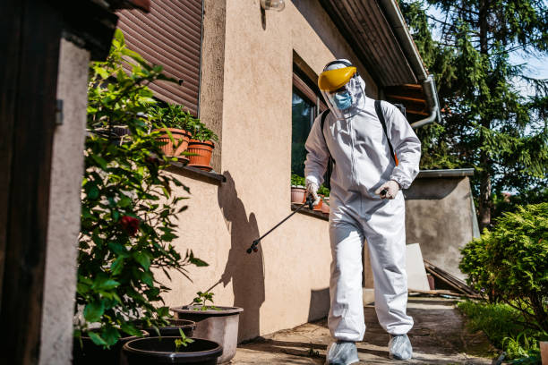 Best Mosquito Control Services  in Pinetops, NC