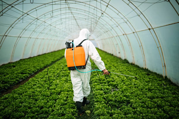 Best Best Pest Control Companies  in Pinetops, NC