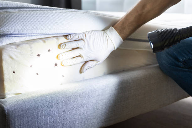 Flea Control Services in Pinetops, NC