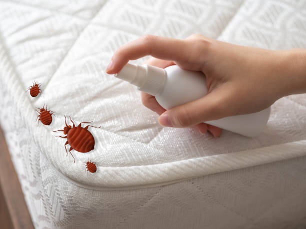 Best Flea Control Services  in Pinetops, NC