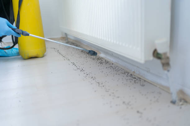 Best Mosquito Control Services  in Pinetops, NC