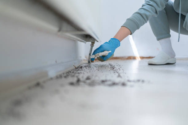Best Mosquito Control Services  in Pinetops, NC